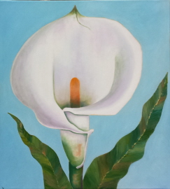 calla violet